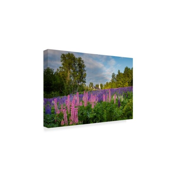 Michael Blanchette Photography 'Below The Chapel' Canvas Art,22x32